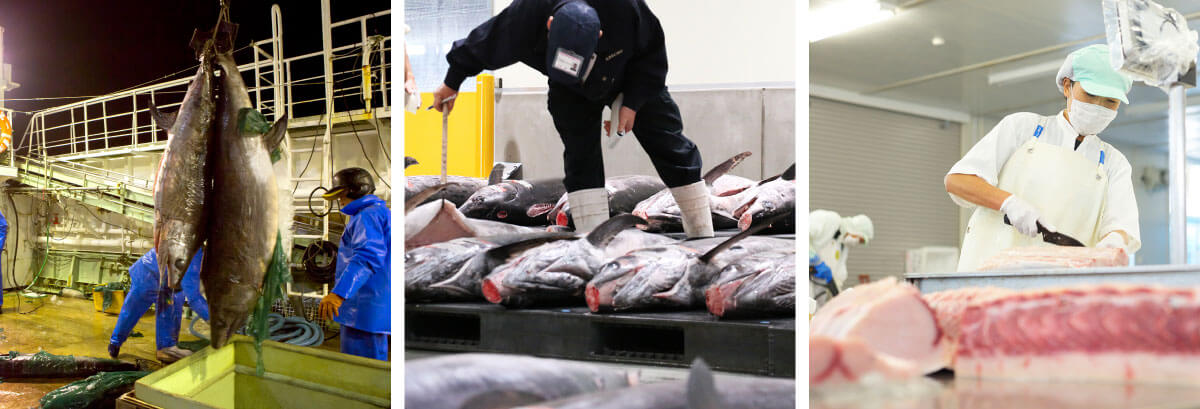 気仙沼メカジキ　漁獲量日本一