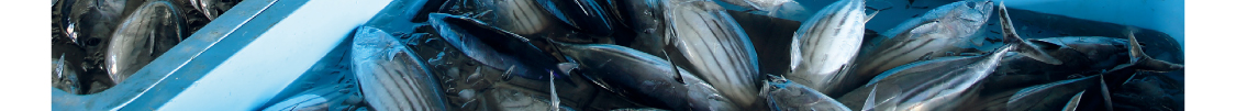 海