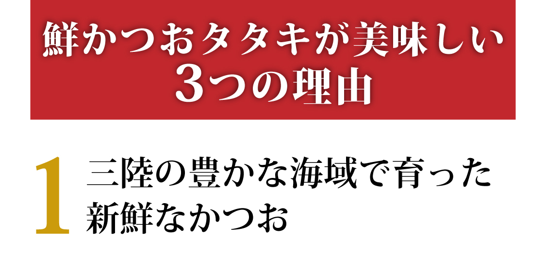 鮮かつお2026