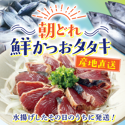 産地直送　朝どれ鮮かつおタタキ｜水揚げしたその日のうちに発送！