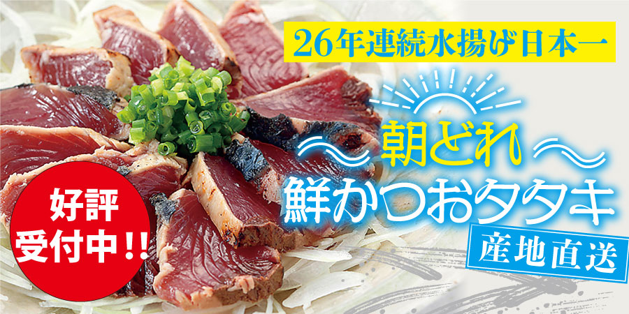 朝どれ!鮮かつおたたき2023