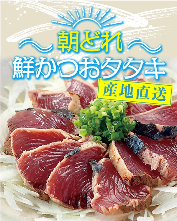 産地直送 朝どれ鮮かつおたたき