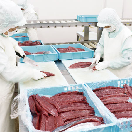 HACCP認定工場 気仙沼フレッシュ
