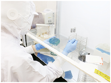 原材料や製造環境、最終製品の汚染状況について定期的に微生物検査を行っています