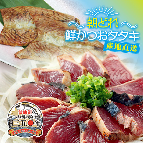 カツオ