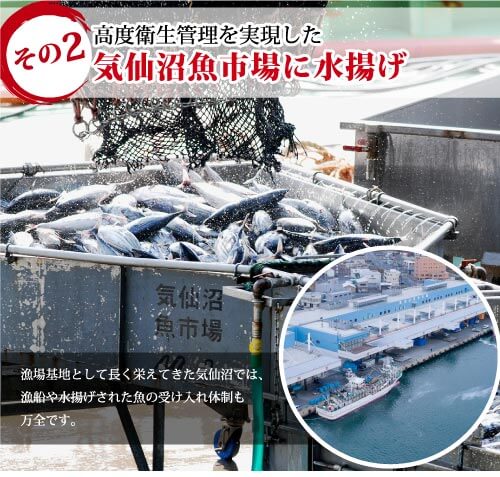 高度衛生管理を実現した気仙沼魚市場に水揚げ 漁場基地として長く栄えてきた気仙沼では、漁船や水揚げされた肴の受け入れ体制も万全です。