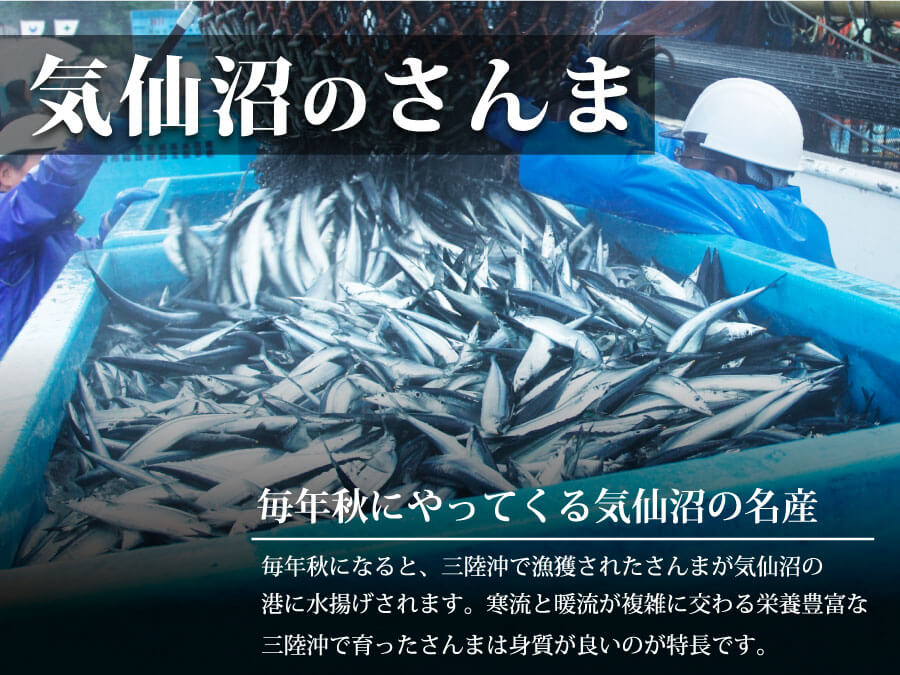 海