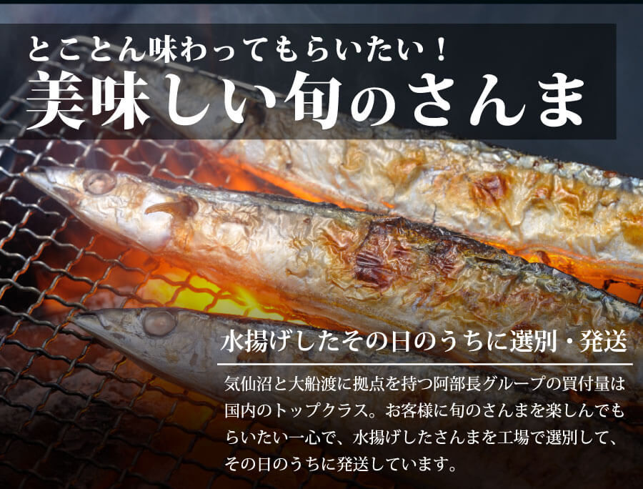 海