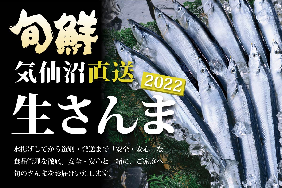 生サンマ 通販 2022秋