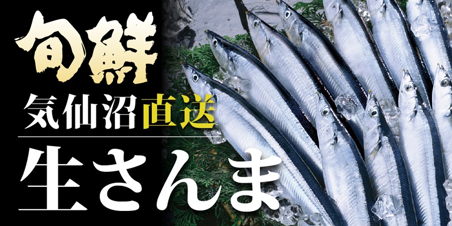 2024年秋　気仙沼直送　生秋刀魚（サンマ） 港町・気仙沼で食べるさんまと同じ美味しさを伝えたい！