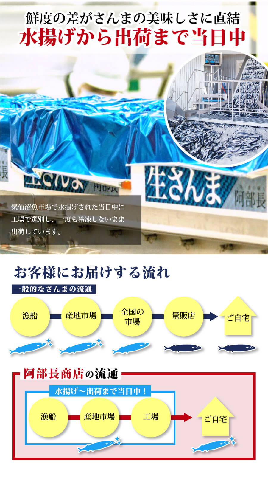 海