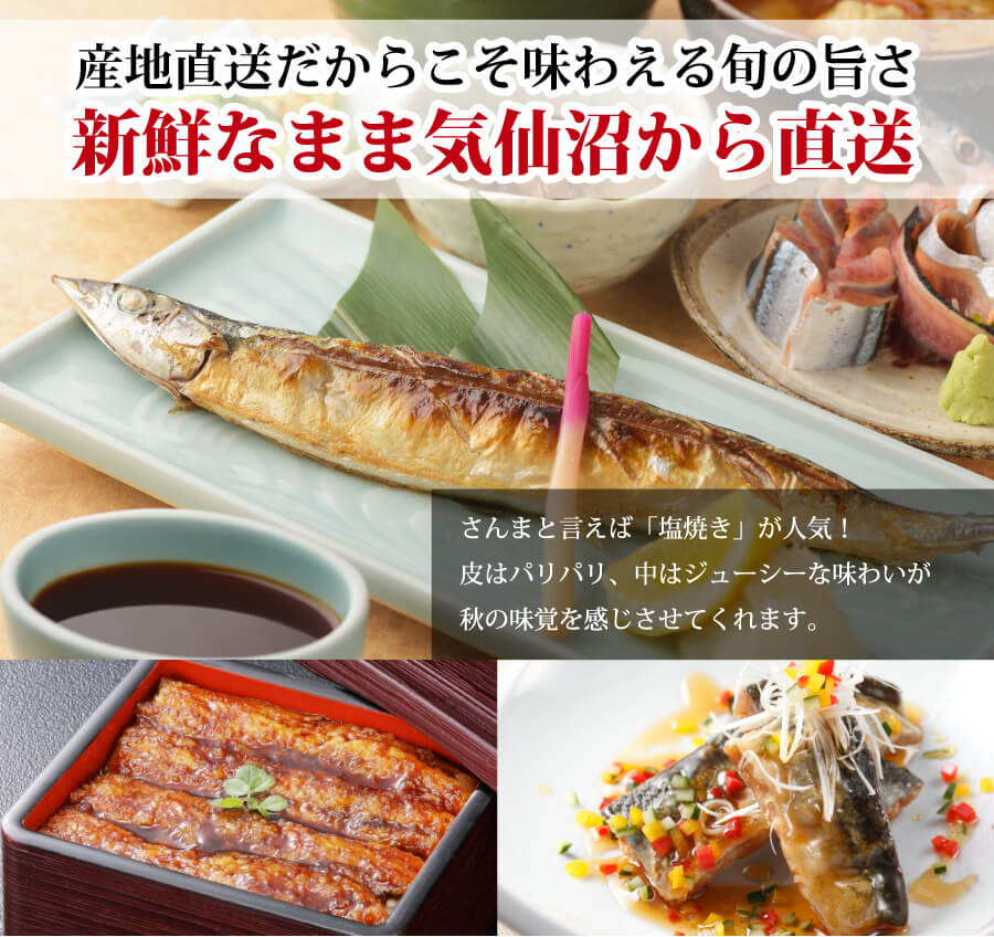 海