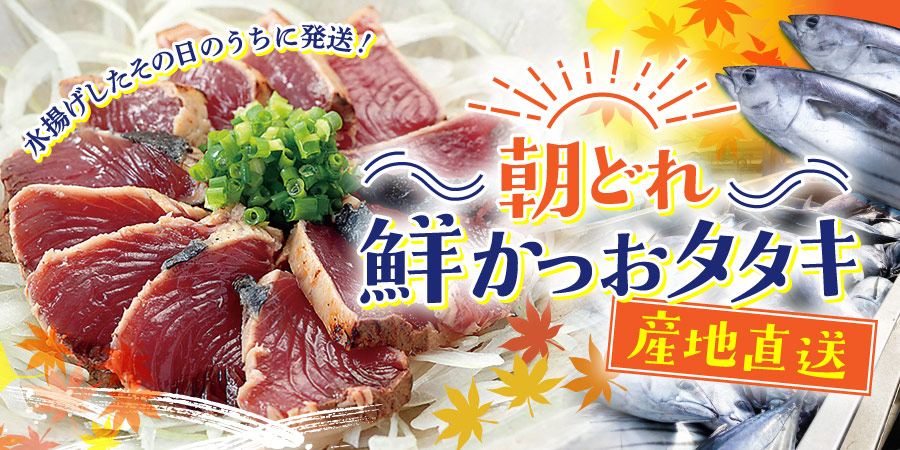 産地直送　朝どれ鮮かつおタタキ｜水揚げしたその日のうちに発送！