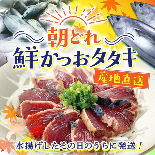 産地直送　朝どれ鮮かつおタタキ｜水揚げしたその日のうちに発送！