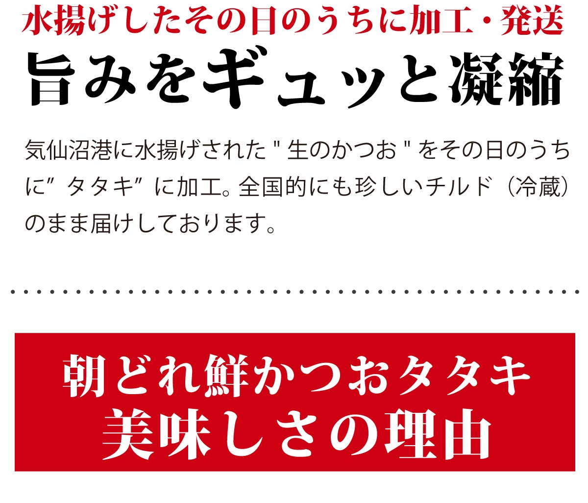 カツオレイアウト