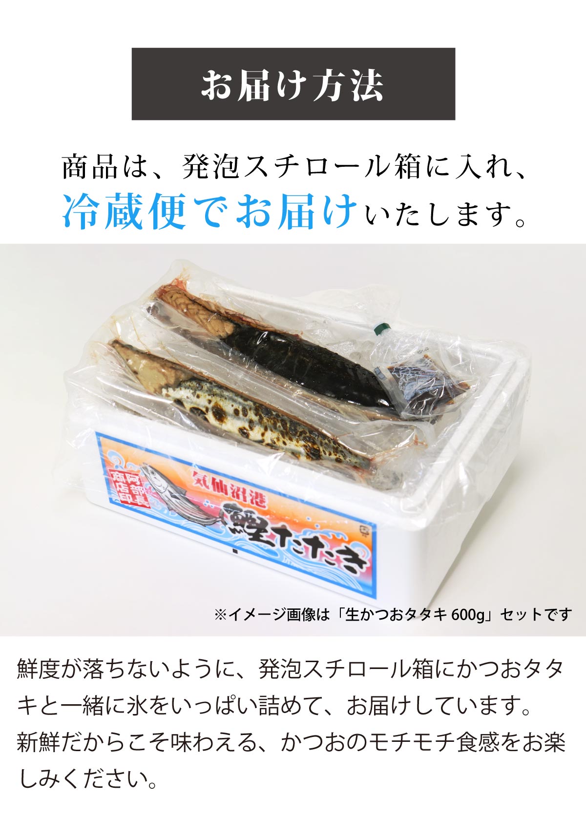 カツオレイアウト