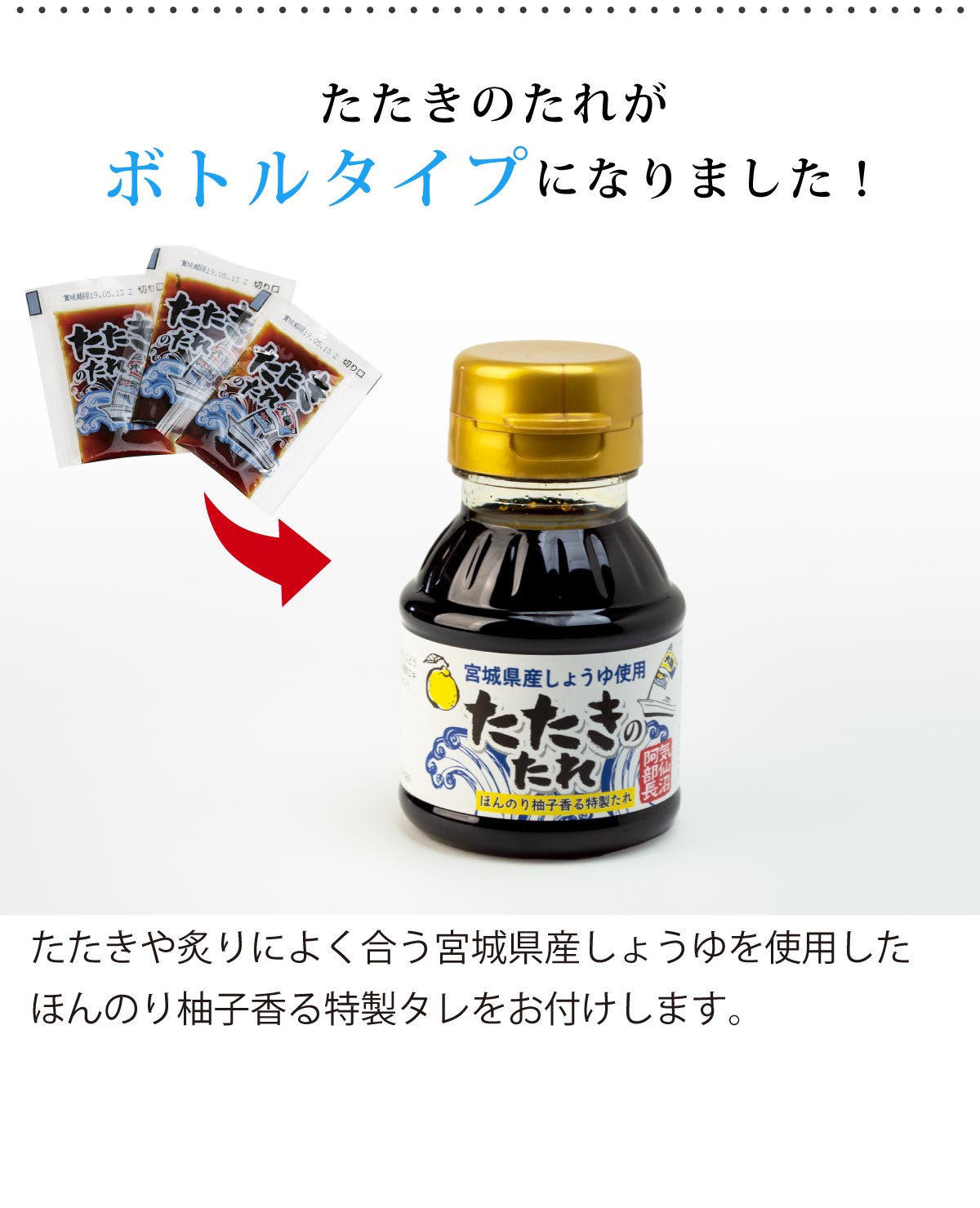 カツオレイアウト
