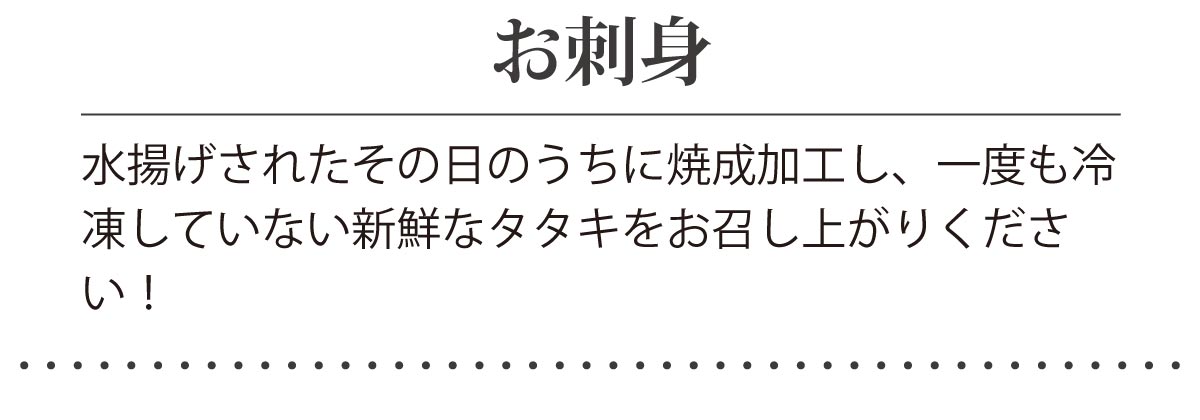 カツオレイアウト