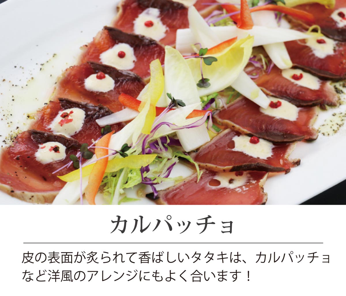 カツオレイアウト